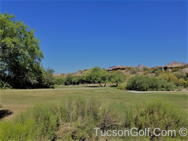 catalina-foothills Catalina Foothills AZ