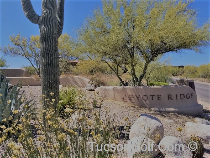 coyote-ridge-vistoso-homes-sale Coyote Ridge Vistoso
