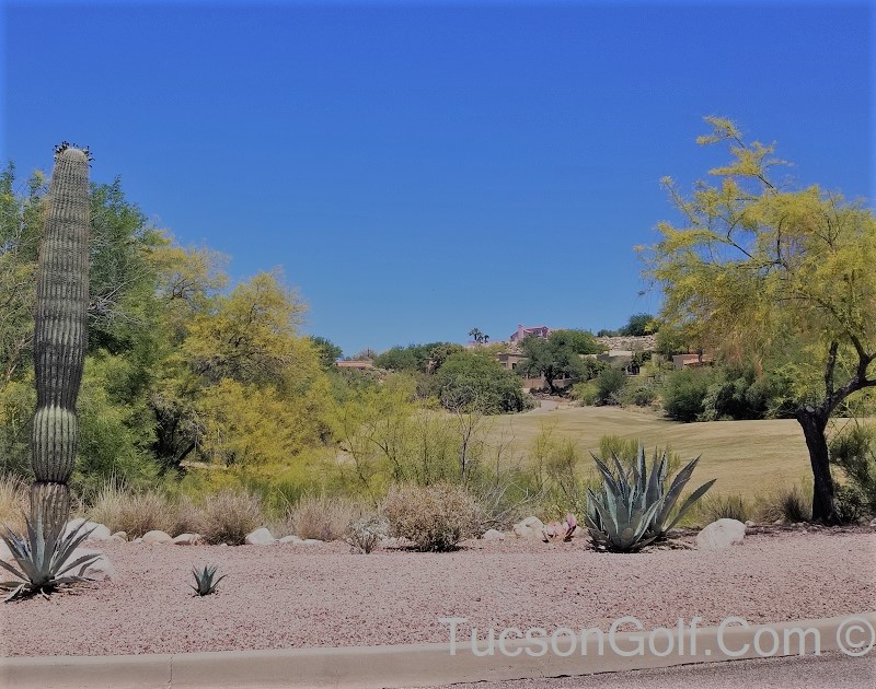 marana-az-homes Marana AZ