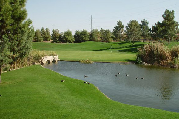 Raven-Golf-Club-Phoenix-7