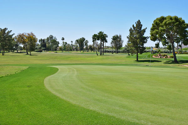 McCormick-Ranch-Golf-Club-pine-11