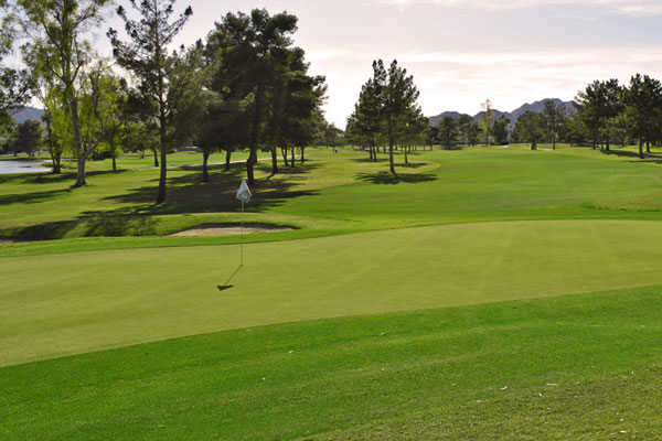 McCormick-Ranch-Golf-Club-pine-16